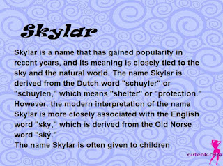 meaning of the name "Skylar"