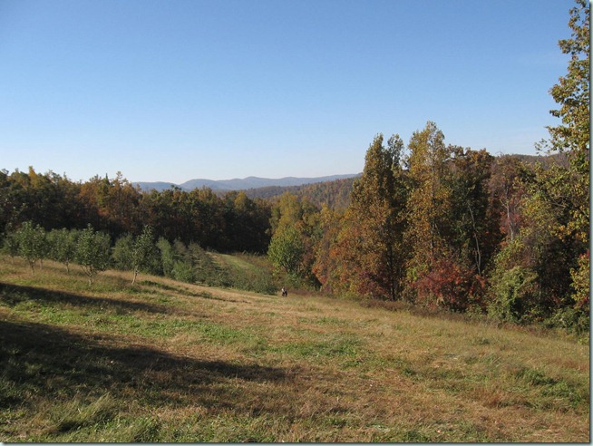 mtns 47