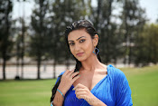 Neelam Upadhyay Hot pics in Blue saree-thumbnail-5