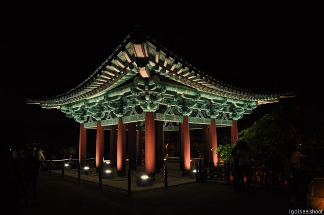 Anapji Pond at Night