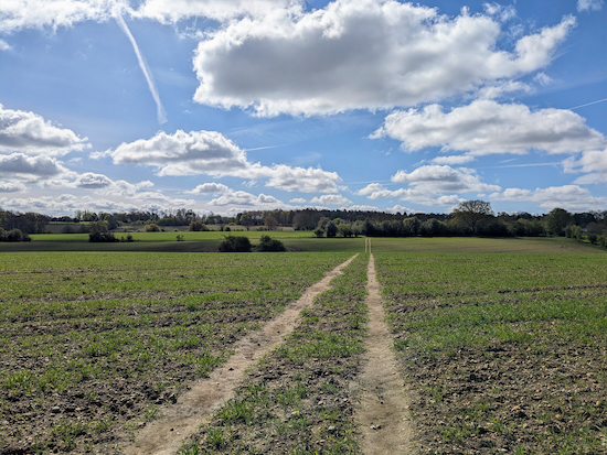 Continue across the arable field on St Stephen footpath 55