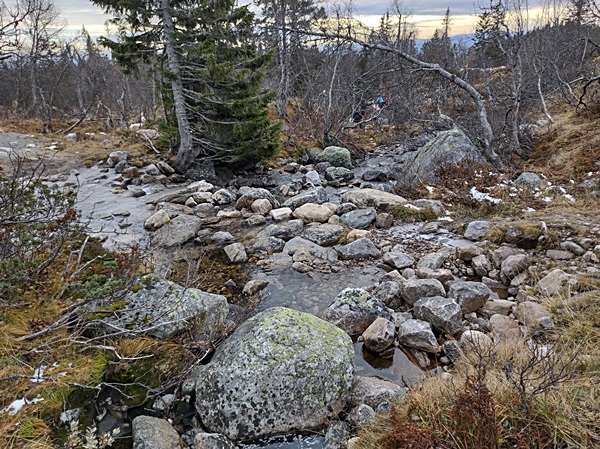 norefjell leppejuv