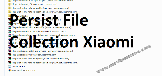File Persist Xiaomi Collection