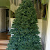 Christmas Trees and Greens, Faux Real or Real Fir?