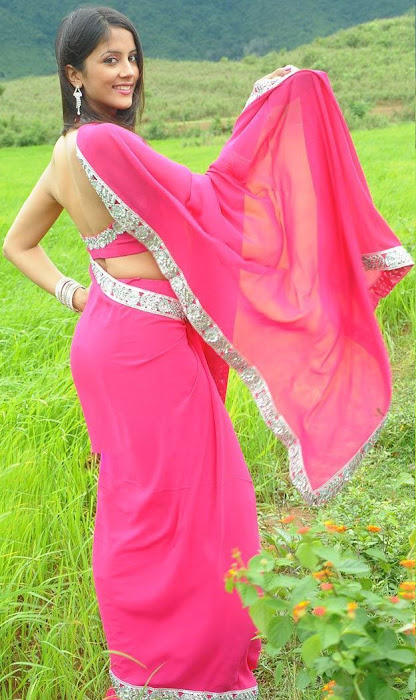 rithika in pink saree glamour  images