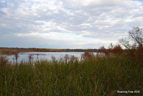 Cantey Bay