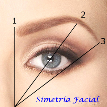 simetria facial