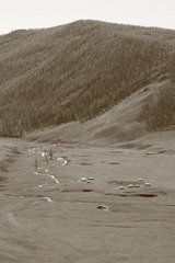 IMG_6520