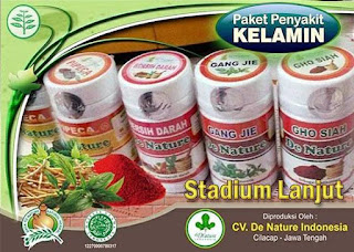 PENGOBATAN PENYAKIT SIPILIS PADA PRIA DAN WANITA DENGAN OBAT ALAMI