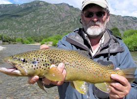 Nice Brown caught in Chile with Streamside Adventures