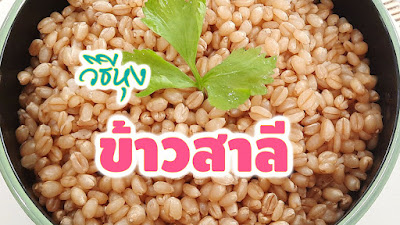 ข้าวสาลี,ข้าวสาลีหุง,วิธีหุงข้าวสาลี,เมนูธัญพืช,อาหารเพื่อสุขภาพ,ข้าวสาลีทำอะไรได้บ้าง,ข้าว,สาลี,ข้าวสาลีเมนู,เมนูเพื่อสุขภาพ,อาหารสุขภาพ,ทำอาหาร,ธัญพืช,เมนูข้าวสาลี,fit food,หุงข้าวสาลี,วิธีกินข้าวสาลี,วิธีหุง,หุงข้าว,วิธีทำข้าวสาลีหุง,ขนมข้าวสาลี,ข้าวสาลีเปียก,ขนมสุขภาพ,อาหารง่ายๆ,เมนูสุขภาพ,เมนูอาหาร,สูตรอาหาร,เมนูอาหารไทยเพื่อสุขภาพ,อาหารคลีน,เมนูคลีน,คลีน,กินคลีน,คีโต,อาหารคีโต,เมนูคีโต,ข้าวคีโต,เมนูลดความอ้วน,ประโยชน์ข้าวสาลี,เมนูลดน้ำหนัก,รายการอาหาร,เมนูอาหารง่ายๆทำกินเอง,ข้าวหุง,Wheat,gandum,Fit Food,Millet,Natural Food,healthy food,recipe