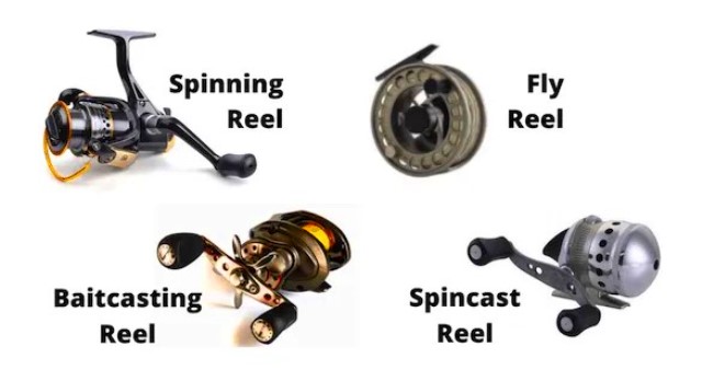 reel spinning dan baitcasting