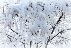 Snow Minnesota