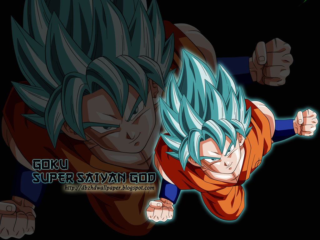 Dragon Ball Z Goku Super Saiyan God 2 Wallpaper