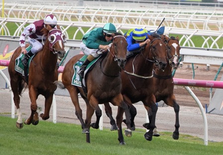 australian cup_finish 1 australian cup_finish 1