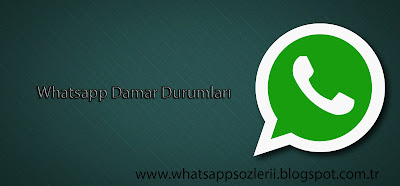 whatsapp-damar-durumlari