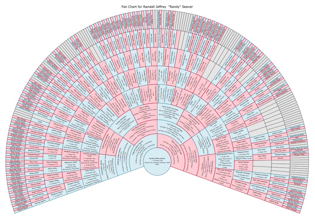 Genea-Musings: The New Ancestry.com Member Tree Fan Chart