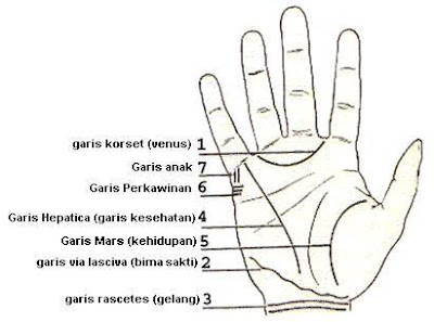 Cara Membaca Garis Tangan Manusia Lengkap