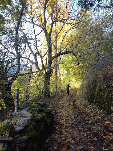 Subida al Cueto Nidio (Valle de Laciana)