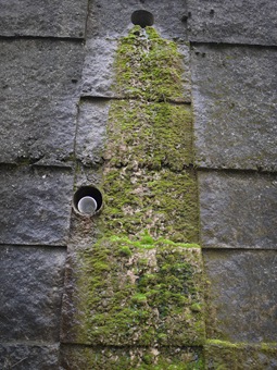 P1130558