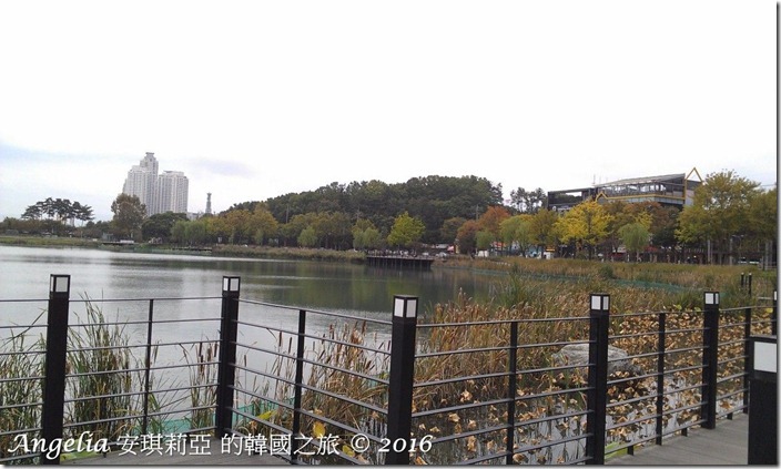 SuseongMotLake-07 SuseongMotLake-07