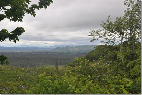 Driving through Wa 019
