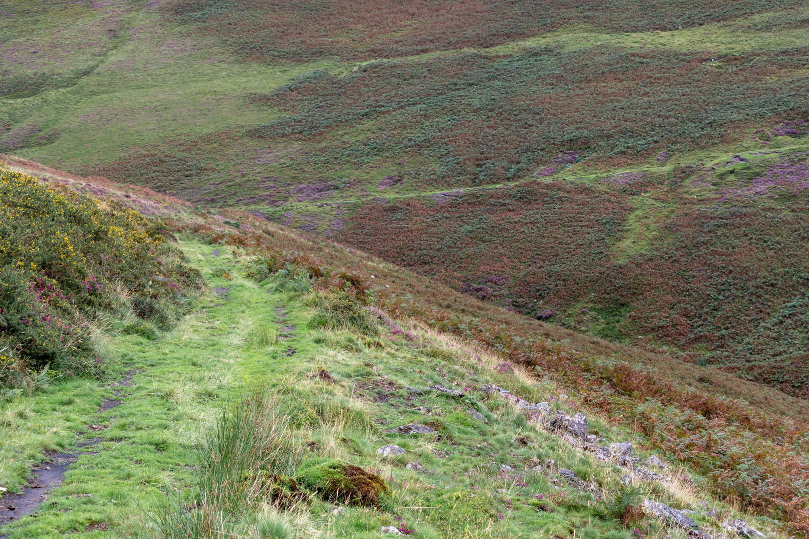 View of the Garw Valley