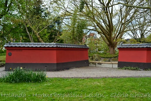 Glória Ishizaka - Hortus Botanicus Leiden - 47