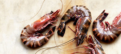 Tiger Prawns exporters India