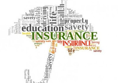 Jenis-jenis Asuransi Menurut Sifatnya, Jenis Resiko dan Jenis Usaha