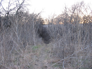 hiking trail in Arbor hills