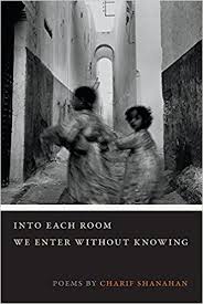 https://www.goodreads.com/book/show/30315844-into-each-room-we-enter-without-knowing?from_search=true