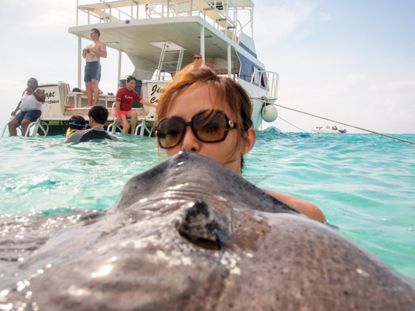  photo 201408-Cayman-Stingray-30_zpsdzbuvi6x.jpg