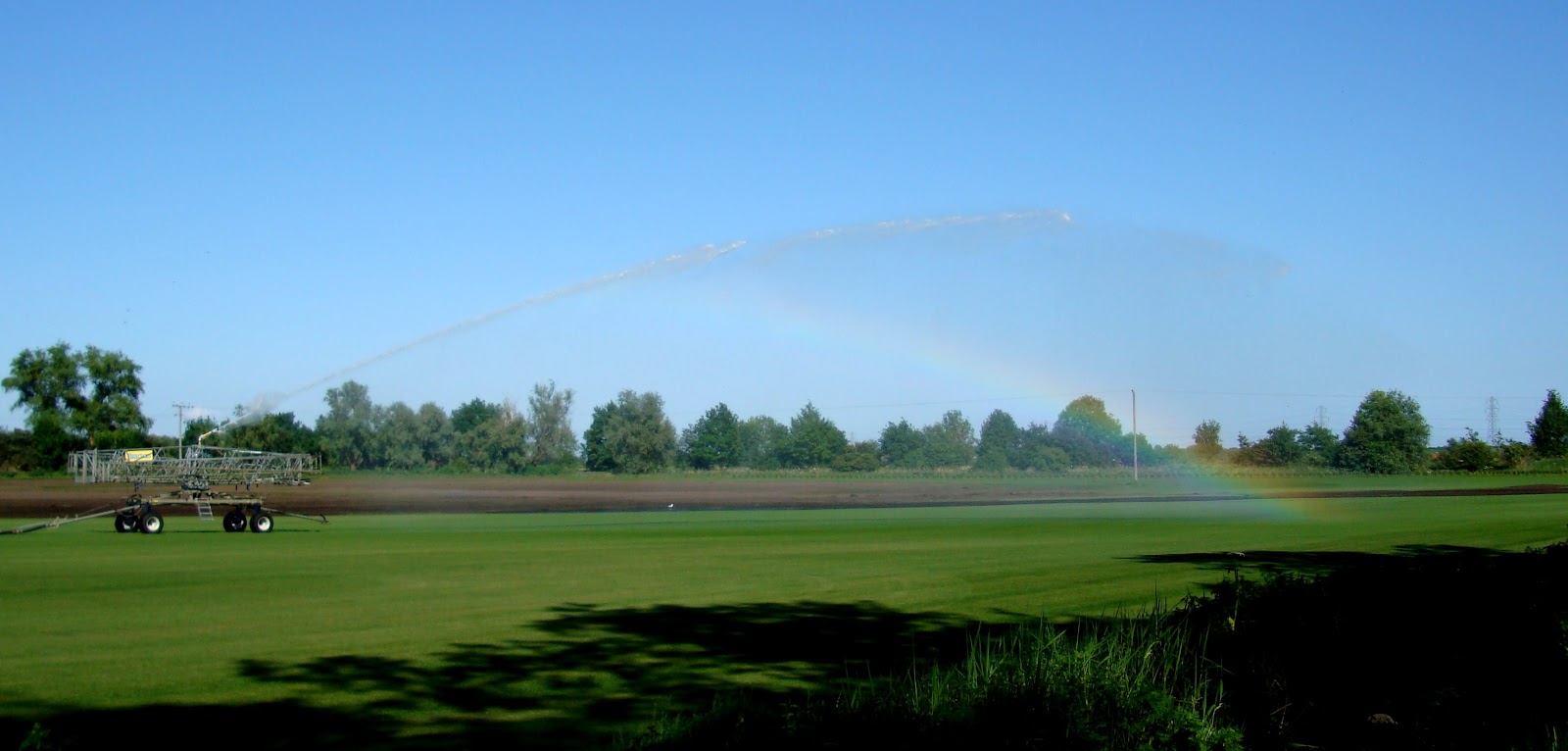 DSC08027.JPG