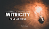 WiTricity - Definition, working principles and all