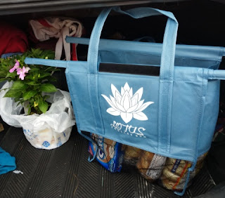 lotus trolley bag  in car