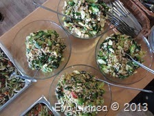 IMG_8305 IMG_8305