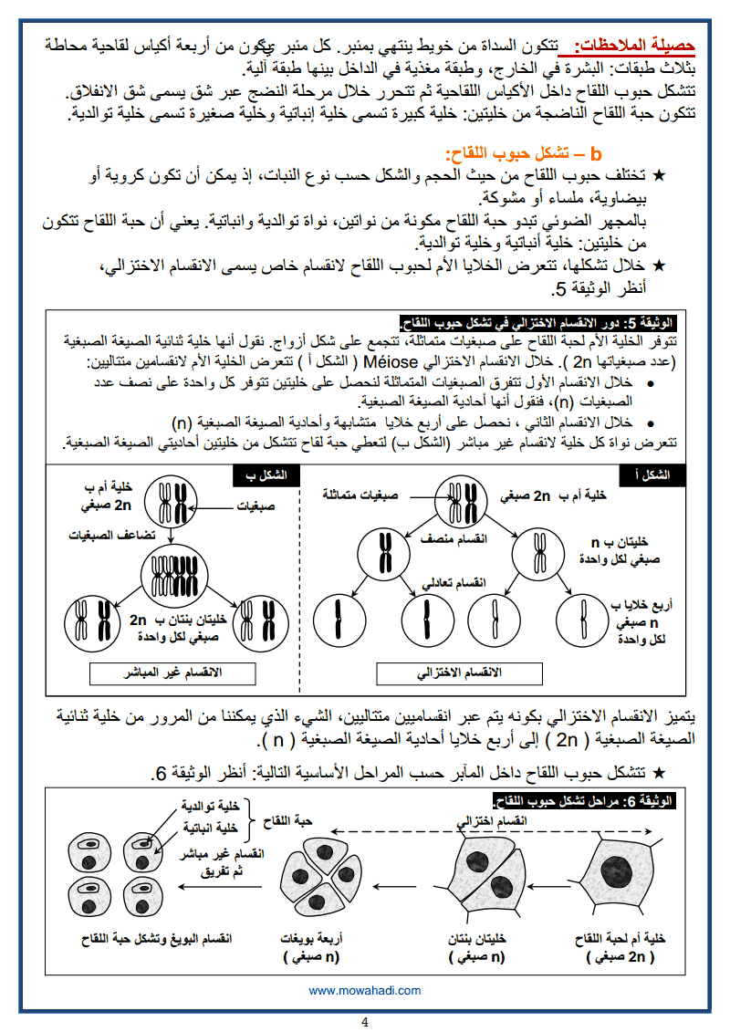 5 التوالد الجنسي عند النباتات الزهرية