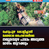 ചെറുപുഴ - കോളിച്ചാൽ  മലയോര ഹൈവേയിലെ നല്ലോമ്പുഴ പാലം അടുത്ത  മാസം തുറക്കും