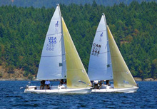 J/80s sailing offshore in Victoria, British Columbia, Canada