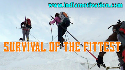 Survival of the fittest by Motivation quote and story in hindi 