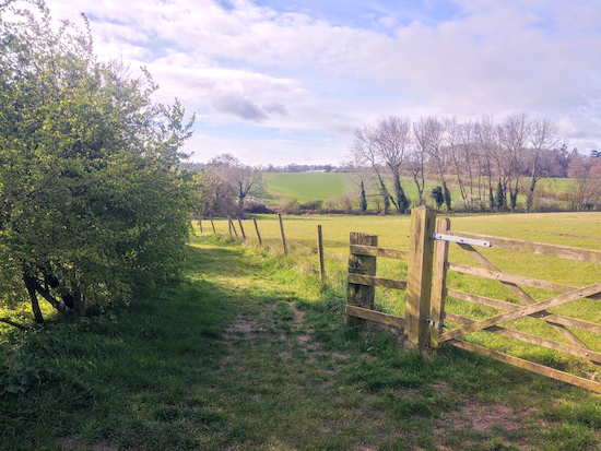 Weston footpath 25 soon after leaving Holy Trinity Church car park