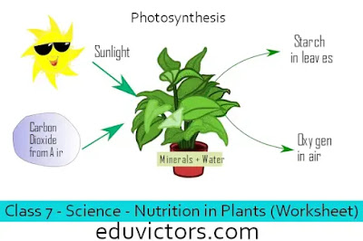 Class 7 - Science - Chapter 1:  Nutrition in Plants (Worksheet)(#eduvictors)(#cbse2020)(#class7Science)