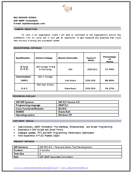 Over 10000 CV and Resume Samples with Free Download: CV ...