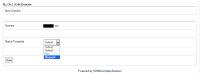 Name Template My DNS