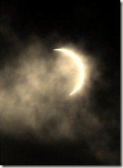Moon_by_Teh_Dog_Biscuit