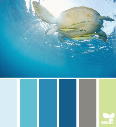 coastal paint colors