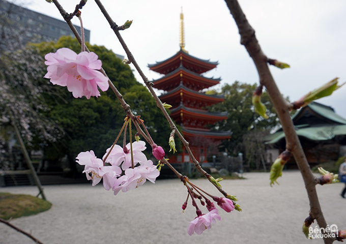 東長寺の仏塔