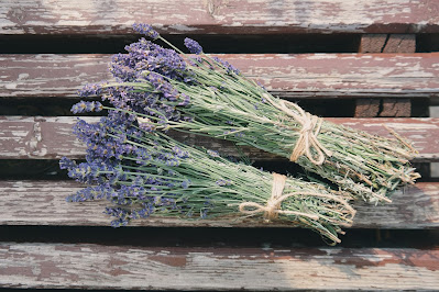 Lavanda