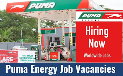 Puma Energy Jobs Ghana, S.Africa, P.N.Guinea, Mozambique, Zimbabwe, Namibia, & More